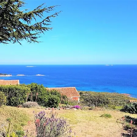 Maison 4 Pièces, Vue Panoramique, Piscine, Climatisation, Près De Palombaggia *