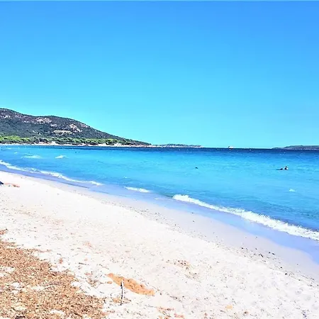 Maison 4 Pièces, Vue Panoramique, Piscine, Climatisation, Près De Palombaggia Casa vacanze *