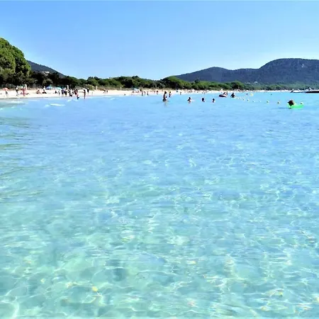 Maison 4 Pièces, Vue Panoramique, Piscine, Climatisation, Près De Palombaggia Porto Vecchio