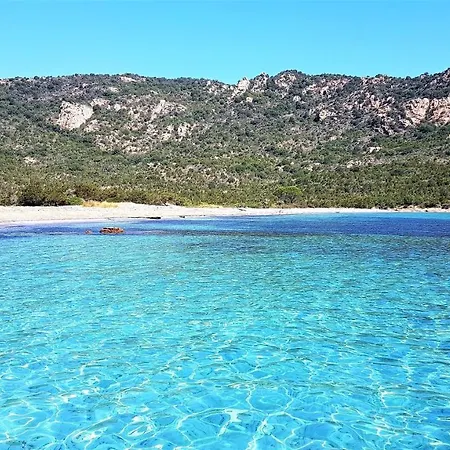 Maison 4 Pieces, Vue Panoramique, Piscine, Climatisation, Pres De Palombaggia Holiday home