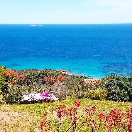 Maison 4 Pièces, Vue Panoramique, Piscine, Climatisation, Près De Palombaggia * Porto Vecchio