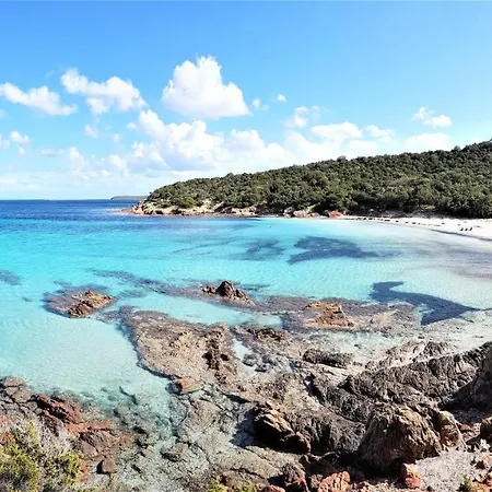 Maison 4 Pièces, Vue Panoramique, Piscine, Climatisation, Près De Palombaggia