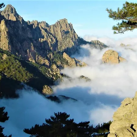 Maison 4 Pieces, Vue Panoramique, Piscine, Climatisation, Pres De Palombaggia Holiday home *