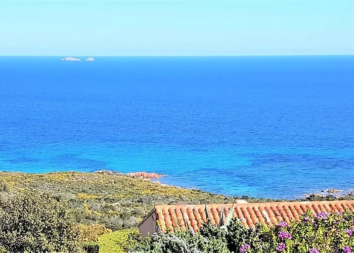 Maison 4 Pieces, Vue Panoramique, Piscine, Climatisation, Pres De Palombaggia * 维琪奥港