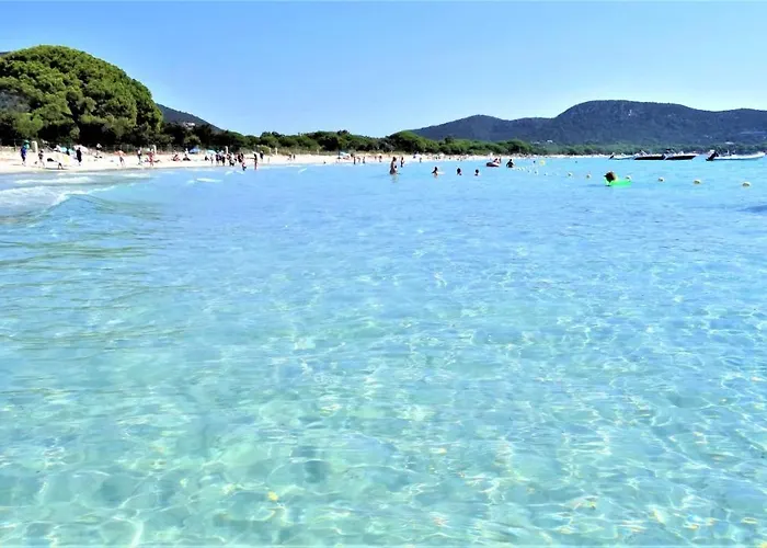 Maison 4 Pieces, Vue Panoramique, Piscine, Climatisation, Pres De Palombaggia 维琪奥港