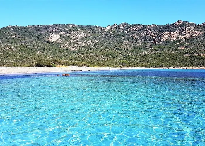 Maison 4 Pieces, Vue Panoramique, Piscine, Climatisation, Pres De Palombaggia 度假居