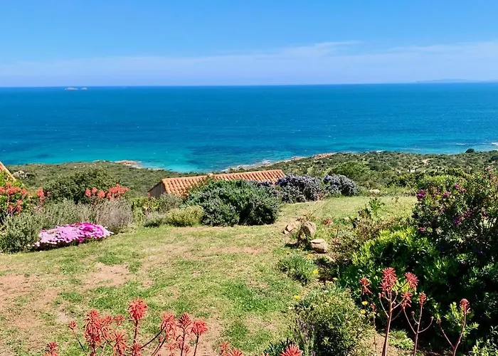 Casa vacanze Maison 4 Pièces, Vue Panoramique, Piscine, Climatisation, Près De Palombaggia Porto Vecchio
