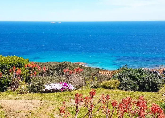 Maison 4 Pièces, Vue Panoramique, Piscine, Climatisation, Près De Palombaggia * Porto Vecchio