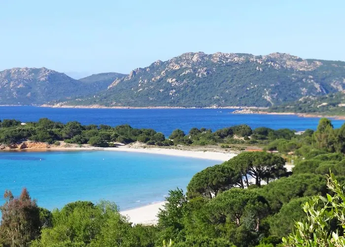 Maison 4 Pieces, Vue Panoramique, Piscine, Climatisation, Pres De Palombaggia 度假居