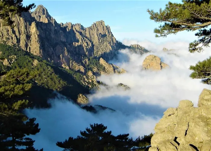 Maison 4 Pièces, Vue Panoramique, Piscine, Climatisation, Près De Palombaggia Casa vacanze *